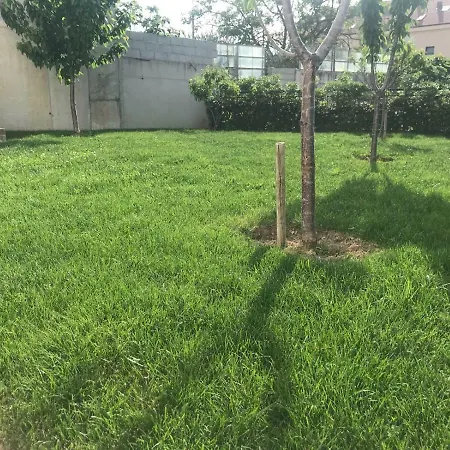 Апартаменти Vlatka Спліт