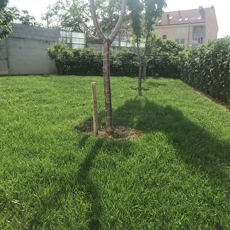 Апартаменты Vlatka *